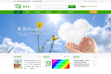 廣州康樂美健康信息咨詢服務(wù)中心網(wǎng)站建設(shè)項目方案